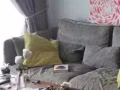 专业寄宿家庭/别墅公寓/巴特礼地铁站附近/可中英文交流/SGD1200/无中介费