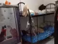 義順大牌235.男生床位出租，合法，可申報HDB自己居住的地址。