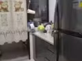 大牌486 Segar LRT旁边有普通房出租