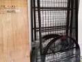 巴西立 單人鐵架床轉讓 