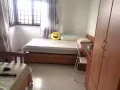 兀兰图书馆对面大牌363双人间诚招男搭房