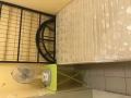 新加坡屋主儲藏室出租可兩人合租【可報製造業本屋地址】