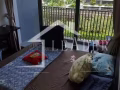 阿裕尼性价比超高普通房促销出租，凡本月入住可享受免押金福利!租到就是赚到！！！