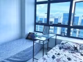 花拉公园正地铁豪华公寓， 环境超一流，两个普通房公用一个卫生间  采光极好29楼