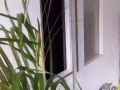 私人小房 近 Eunos/Ubi /Kaki Bukit/ MRT出租