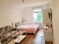 1 Room Apartment for lease 