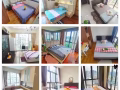 新加坡地铁旁 千套公寓 无屋主 无中介费 可报地址 按需推荐