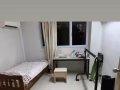 荷兰村大牌11号