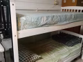 西海岸有男搭房出租