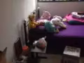 無中介費！海格路組屋房間！$750