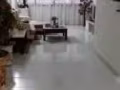义顺大牌325公寓式组屋，整套出租，3+1 火速联络屋主，无中介！$2400可商