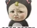 招租！义顺大牌239招男女搭房。